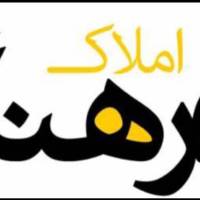 امیر حسین پروفایل