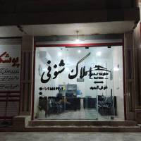 مرتضی شنوفی پروفایل