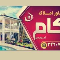 رضا مالکی  پروفایل