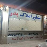 احمد قاسمی پروفایل
