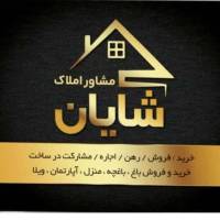 محمد شایانپور پروفایل