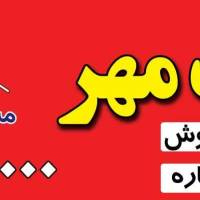 مجتبی برغمدی پروفایل
