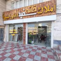 مشاور میرمیثم میرسیفی پروفایل