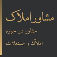ابوالفضل شریفی پروفایل
