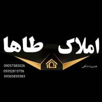 محمد طاها پروفایل