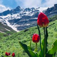 املاک رشیدی پروفایل