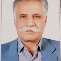 بهروز عبدالوند پروفایل