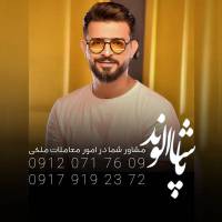 پاشا الوند پروفایل