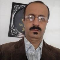 احمدی پروفایل