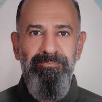 محمدرضاسیف پروفایل