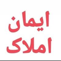 امیر سبزیکار پروفایل