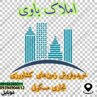 نادرباوی پروفایل