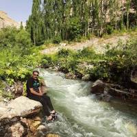 علیرضا پورابوالحسنی پروفایل