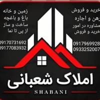 مشاورین املاک شعبانی پروفایل