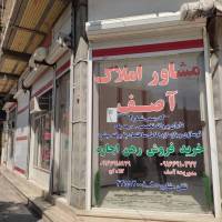 محمدرضا آصف پروفایل