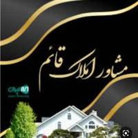 باقر ولی خانی پروفایل