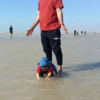 محمدصادق علیزاده پروفایل