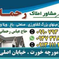 امیررحمانی پروفایل