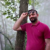 محمد احمدی پور پروفایل