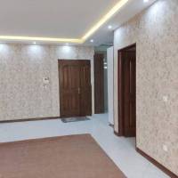 مجتبی فکوری پروفایل