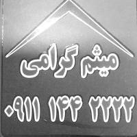 میثم گرامی پروفایل