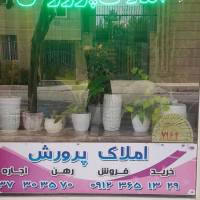پرورش پروفایل