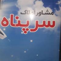 امیر محمدی پروفایل