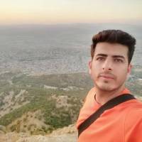 امین عارفی  پروفایل
