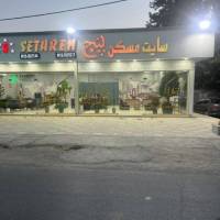 مهدی تهرانی پروفایل