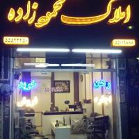 علیرضا محمودزاده پروفایل