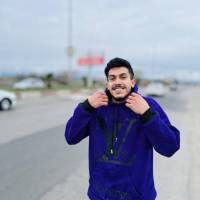 محمدحسین طالبی داودی پروفایل