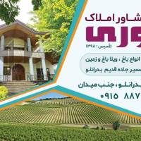 مجتبی داوری پروفایل
