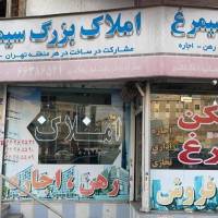 خانم شکوهی پروفایل