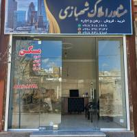 محمدرضاشهبازی پروفایل