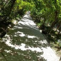 مالک  پروفایل