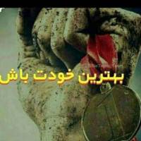 آرش شکور پروفایل