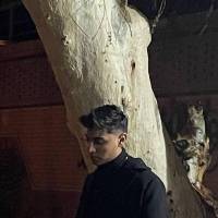 ایلیامحمودی پروفایل