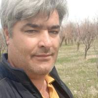 امیدحسنی پروفایل