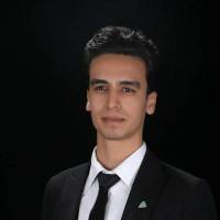 میکائیل بهمن پروفایل