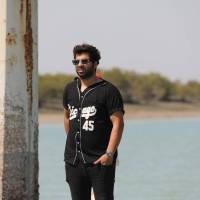 اندامی پروفایل
