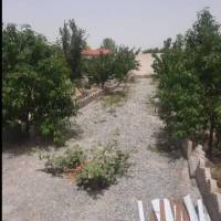 مصطفی خداوردی پروفایل