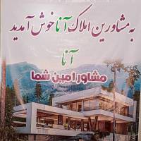 مرتضی علیپور پروفایل