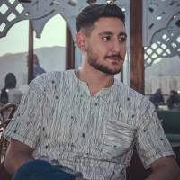 امیر پایدار پروفایل