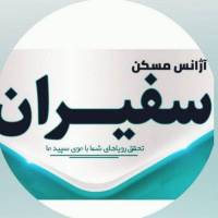 شاهین قاضی پروفایل