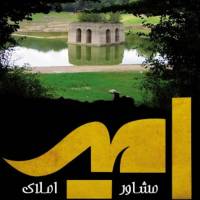 امیر سعیدی فرد پروفایل