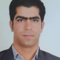 محمد مختاری پروفایل