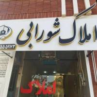 علی شورابی پروفایل