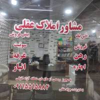 مهران خوش ریحان  پروفایل