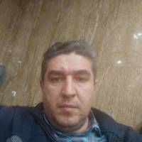 داود سلماسی پروفایل