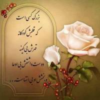 مهندس حصیرباف  پروفایل